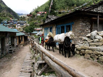 Mani Rimdu Festival & Everest View Trek